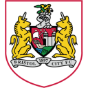 Bristol City icon